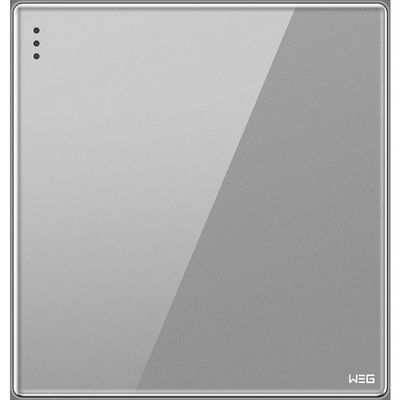 An der Wand befestigter Stecker-Sockel des Grau-W81Q/1Y USB